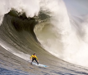 开云体育平台APP-欧冠半决赛焦点战，雄鹿硬仗取胜快船