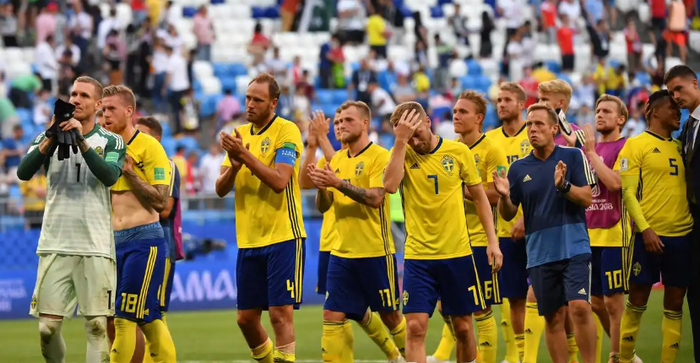 法国队绝杀瑞典队,王皓高光表现 法国队绝杀瑞典队,王皓高光表现