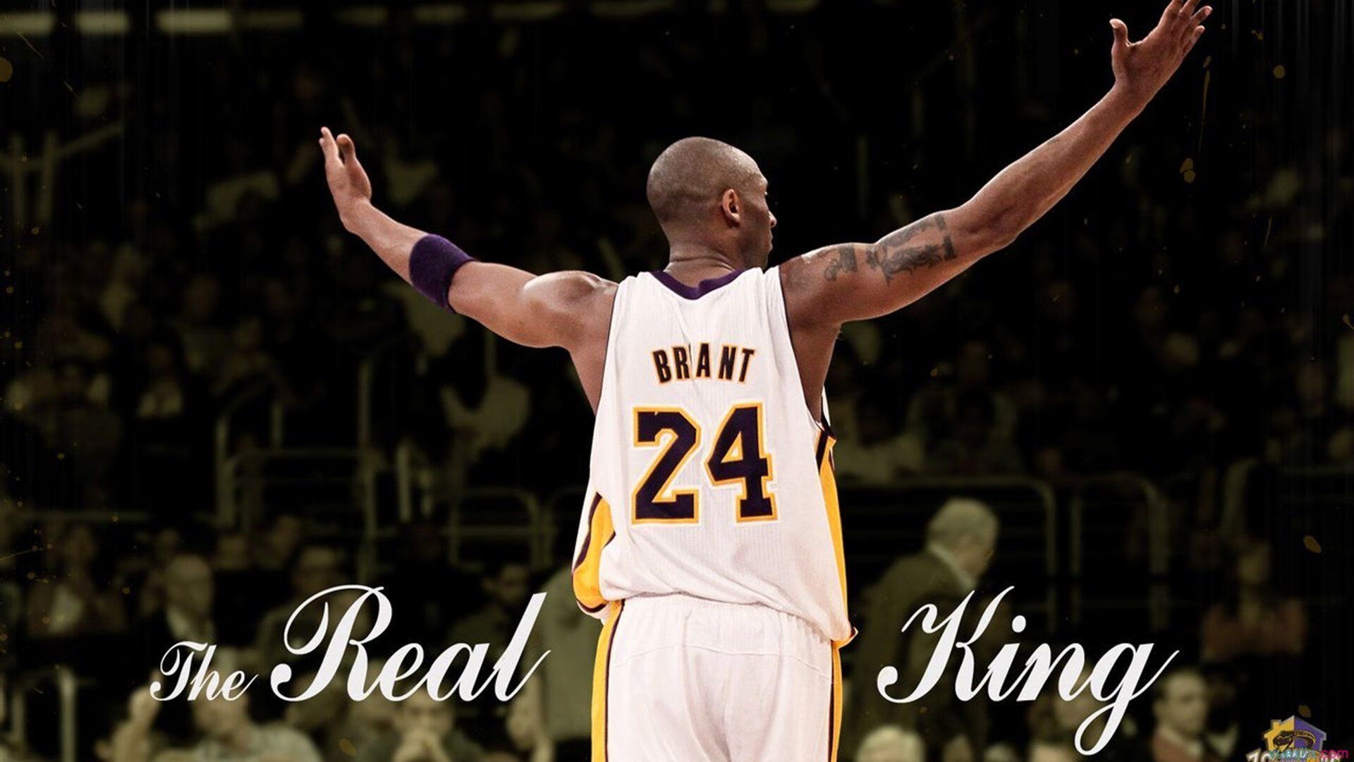 铁壁铸就胜利，贝恩防守艺术与深圳队封锁辽宁队的战术密码